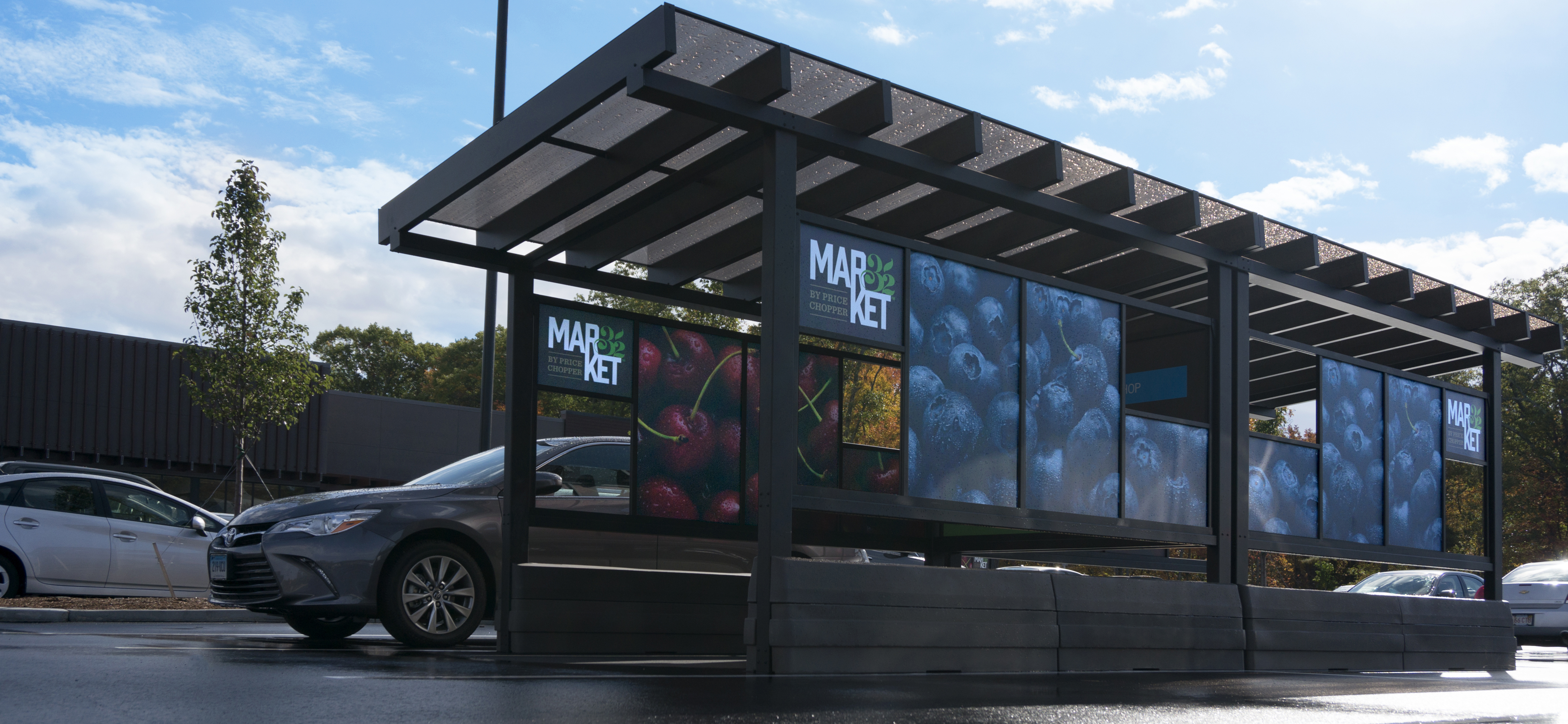 Shopping Cart Damage To Car